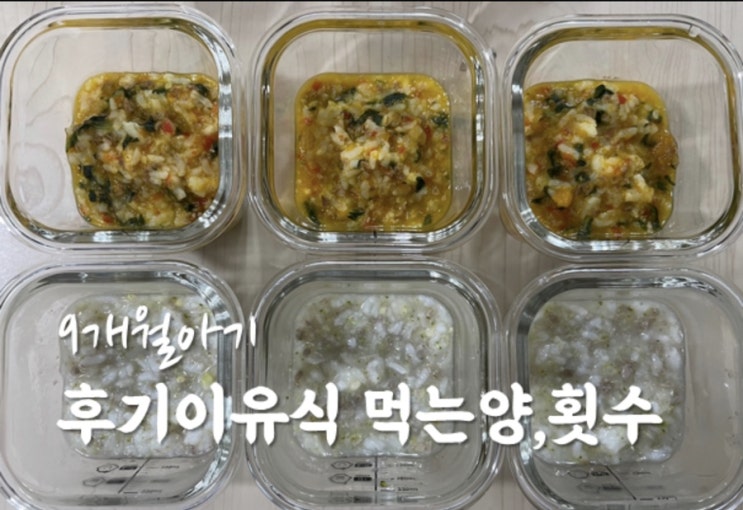  9개월아기 후기이유식 먹는양 횟수 소고기 감자 브로콜리 양파죽 아기가 잘 먹어요