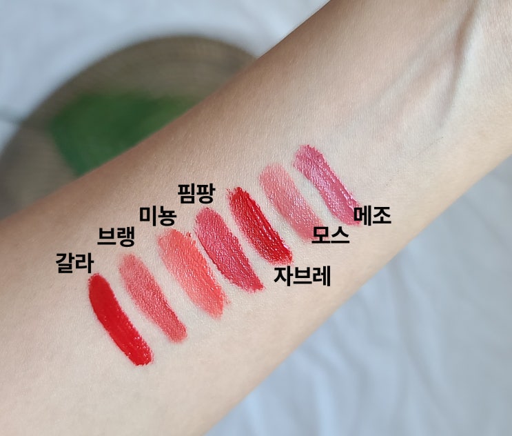  내돈내산) 포렌코즈 발색 [ 갈라 ,브랭, 미뇽, 핌팡, 자브레, 모스, 메조 ]