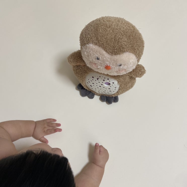  아기 수면등 별 쏟아지는 러블리부우와 코코낸내해요