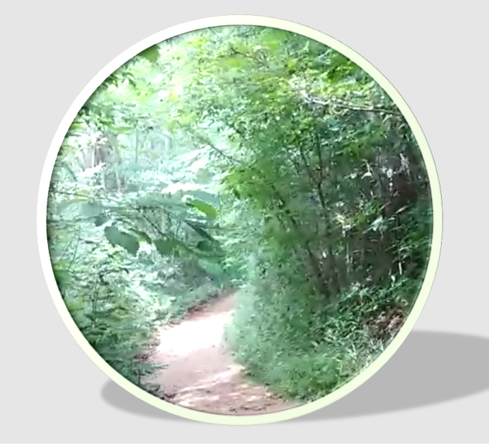  강원도 걷기 좋은 길, 오대산 월정사 ~ 상원사 선재길, 자연설치미술과 고귀한 분을 만나세요.