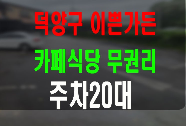 고양시덕양구 무권리가든임대 주차20대 실60평 대로변접 5000/350