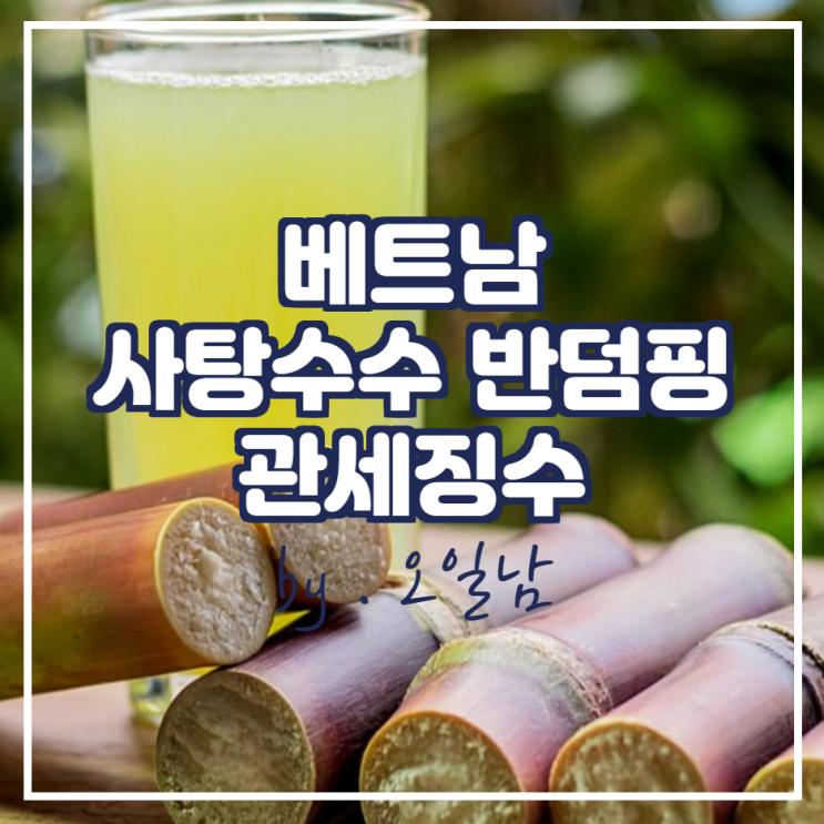  베트남 사탕수수 반덤핑 관세 징수로 내년 사탕수수 시장에 긍정적 신호 발생