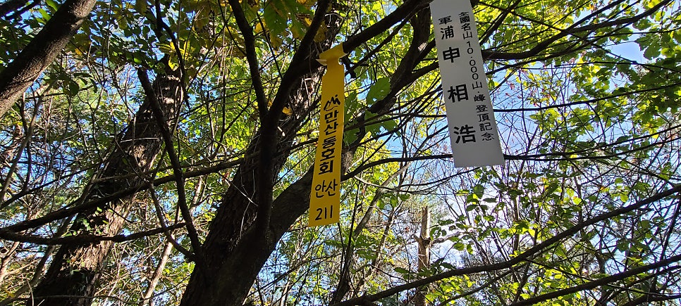메작골산 사진 5