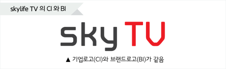  스카이라이프tv 농막tv 가입 월6000원에?????