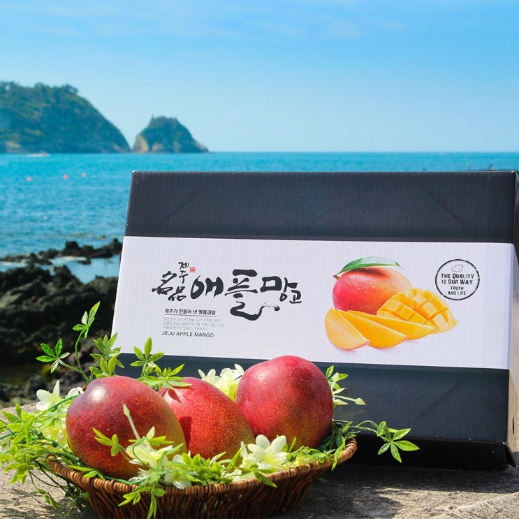 인기 많은 참조은 The제주 제철명품 애플망고 2kg 3kg, 1box, 애플망고 2kg 7-8과 좋아요