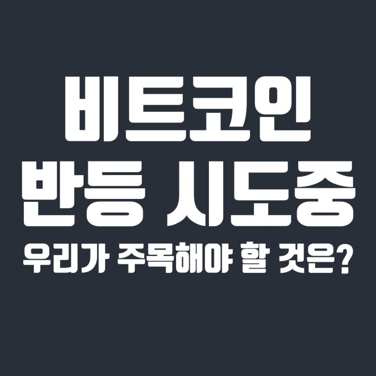  비트코인 반등 시도중, 우리가 주목할 것들은?