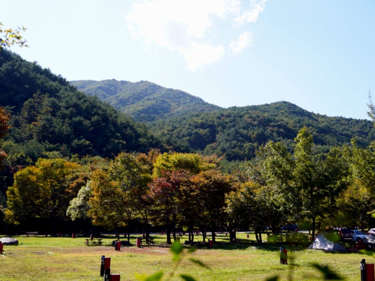 국립공원 설악산 설악동 야영장 단풍 캠핑장