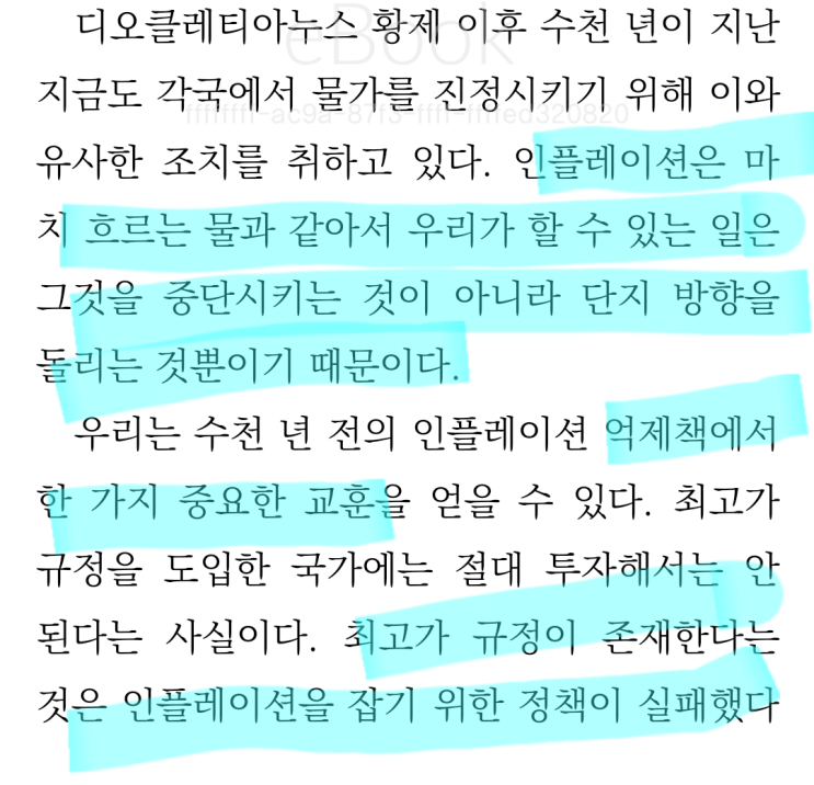 하노벡 - 인플레이션 / 지금 시기에 필요한 바로 그책