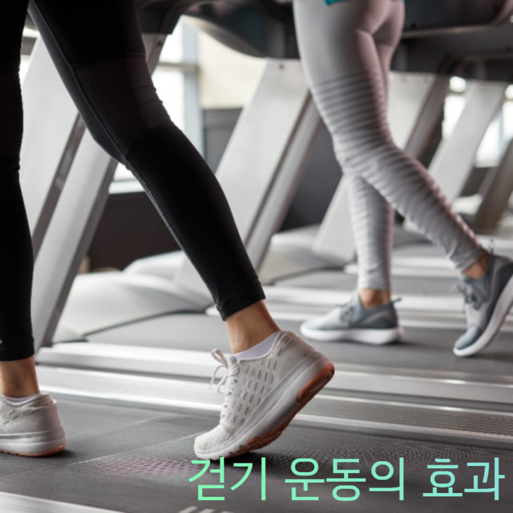 걷기 운동을 통한 우리몸의 건강변화에 대해 알아보아요 걷기 운동을 통한 우리몸의 건강변화에 대해 알아보아요