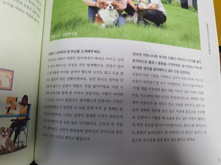  포인핸드 매거진에 강단풍나무 나왔어요!