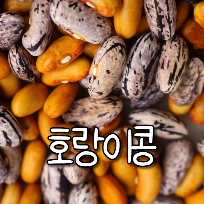  호랑이콩의 놀라운 5가지 효능