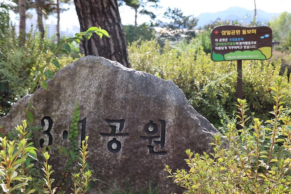 백당 신태윤 기념관 사진 4