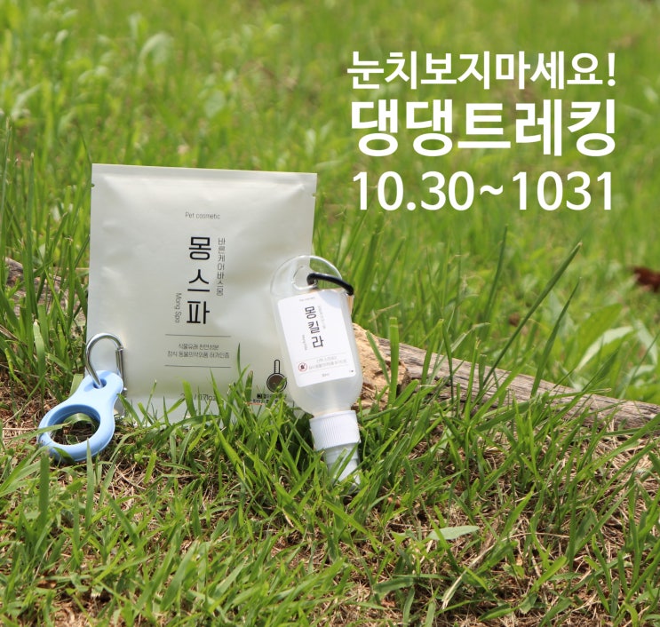  하이원 리조트에서 즐기는 댕댕트레킹