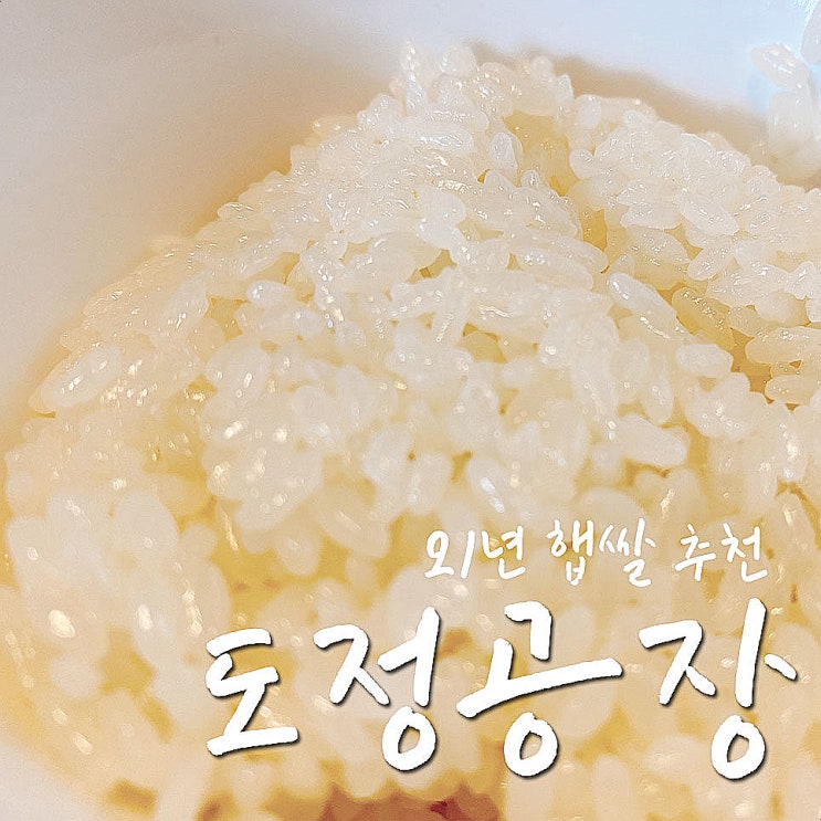 21년햅쌀, 도정공장 미소미 내돈내산 밥해먹어보니 윤기 좔좔-.