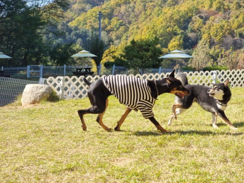 사진 7