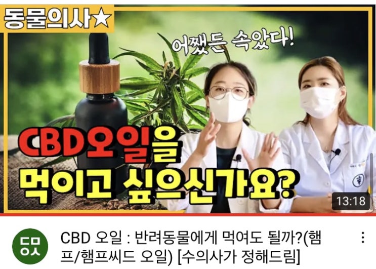  [주간 동물의사] CBD 오일 : 먹여도 될까?