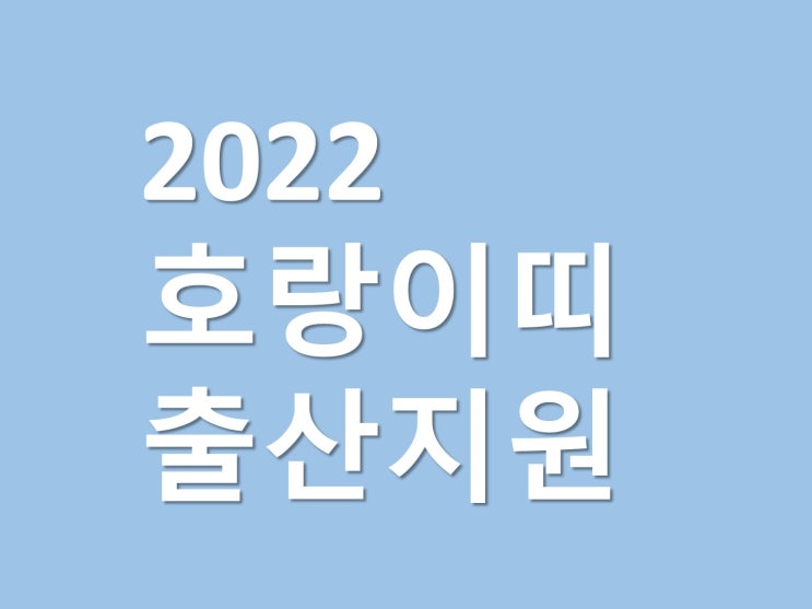  2022년 띠 출산지원금 혜택 총정리 최대 300만원 (12띠순서)
