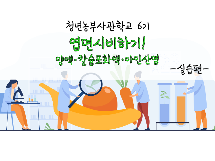  엽면시비하기! 양액·칼슘포화액·아인산염 만들기!_211028