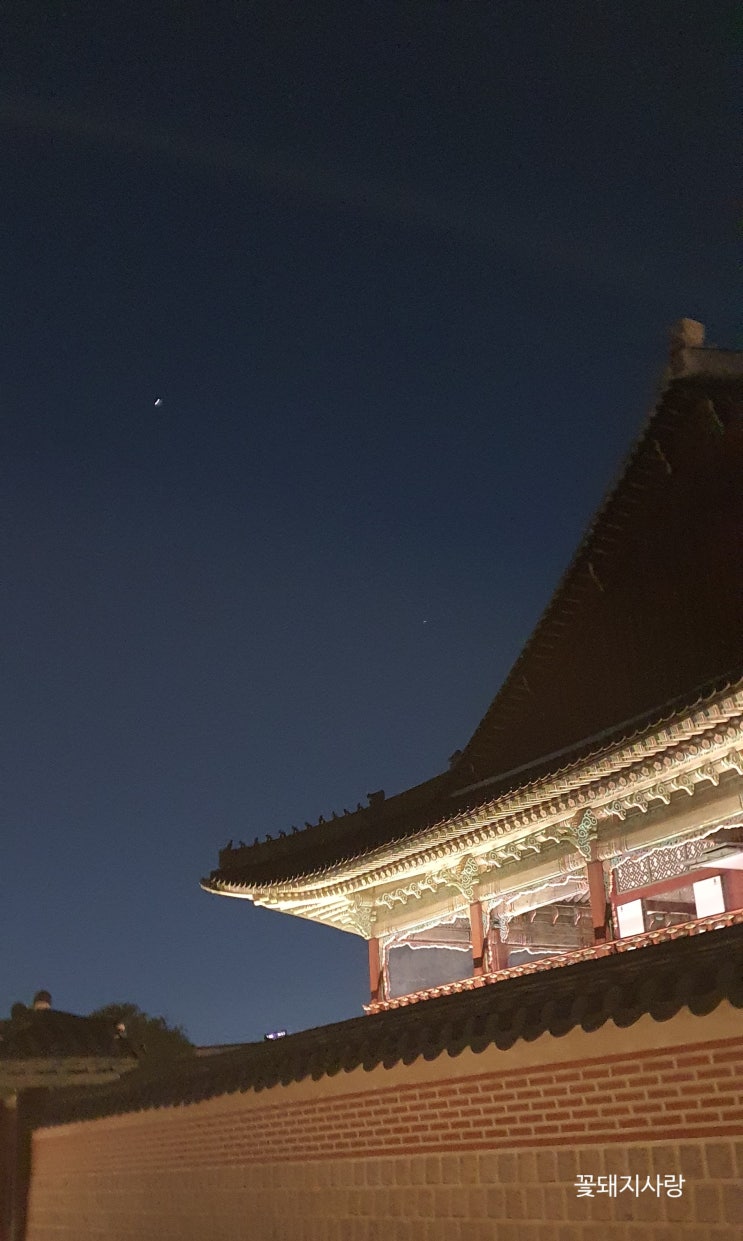  D+80 삼겹살에서 목살로