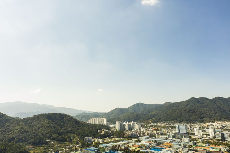  경매 낙찰가율을 읽으면 시장 흐름이 보인다