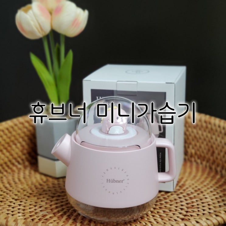 미니 가습기 휴브너 가습기 주위에서 탐낼 완벽한 이유 미니 가습기 휴브너 가습기 주위에서 탐낼 완벽한 이유