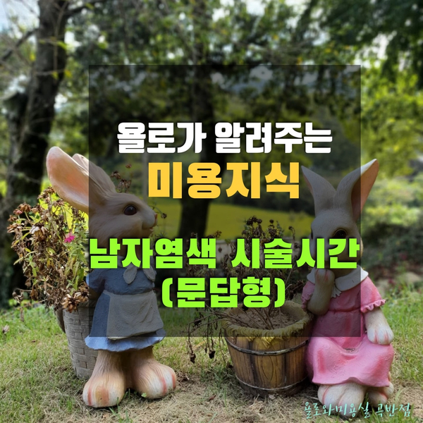 남자염색 시술시간(욜로와미용실)