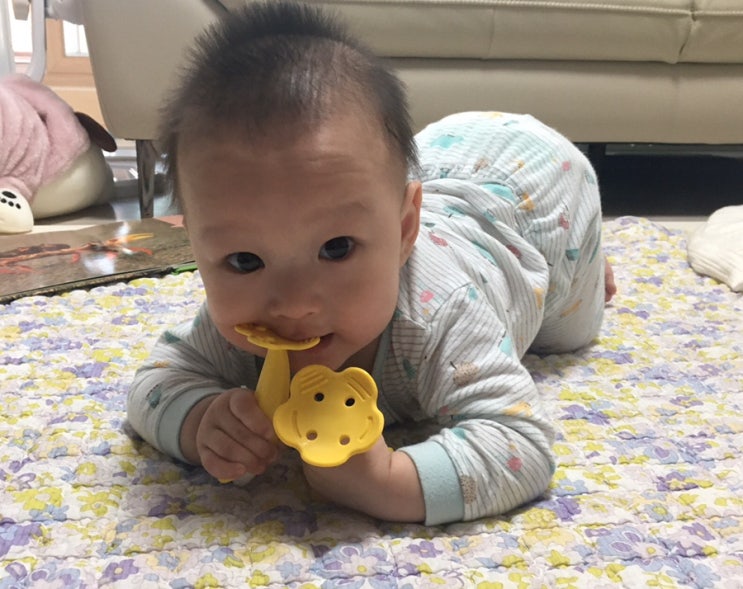  주먹고기 구강기에 접어든 아기 치발기 비교 추천(모윰/앙쥬)