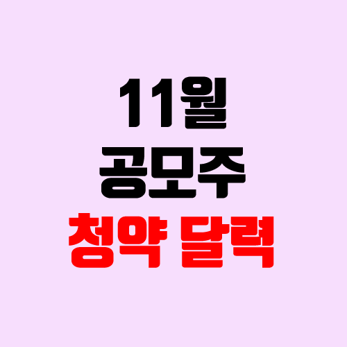 11월 공모주 청약 달력, IPO일정(장외가, 공모가, 주관사)