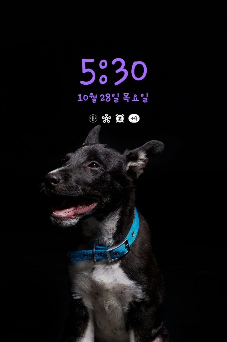  [D-28]미라클모닝 챌린지 72일차, 아침일찍 일어나기 완성단계 진입, 미라클모닝 굿노트 다이어리