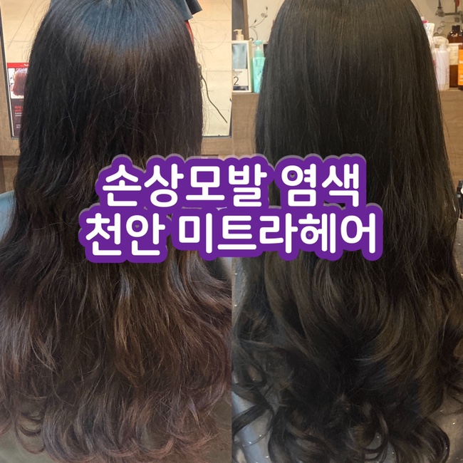  천안미용실추천 손상모발 복구전문 미트라헤어 두정점