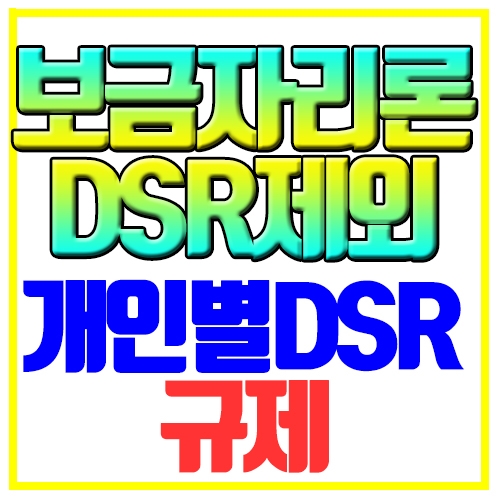  보금자리론 DSR 제외 개인별 DSR 규제
