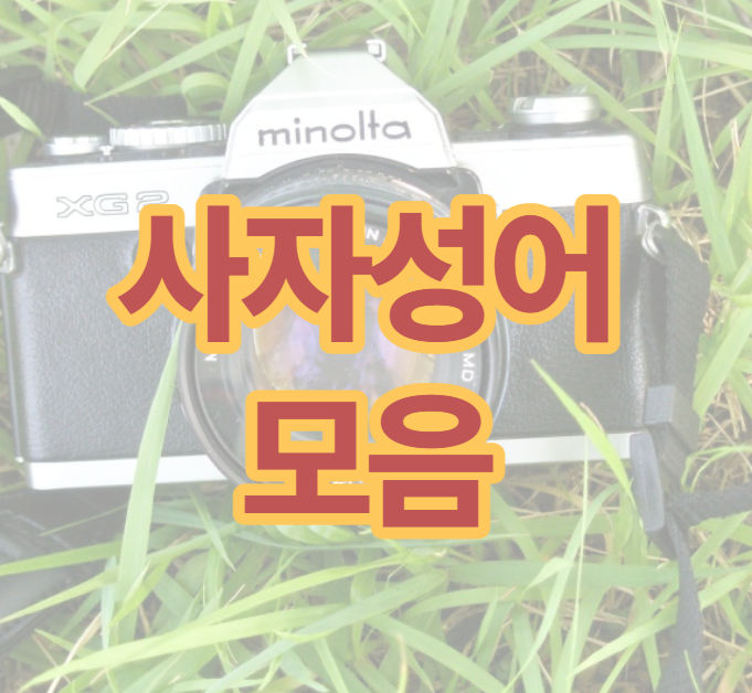  사자성어 모음 의미가 너무 좋다!!