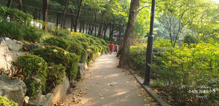 아침 운동 나갔다 청소하고 왔어요. 아침 운동 나갔다 청소하고 왔어요.