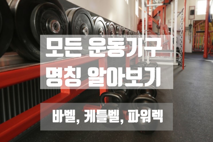  일 년 운동해도 이름도 모른다! 뭐에 쓰는 건지 막연한 운동 기구들 총정리! 알고 쓰자~ 극강 다이어트 여섯 번째 이야기.
