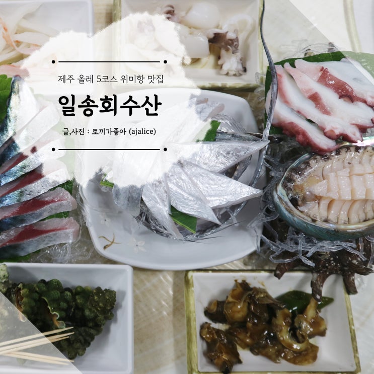 제주 위미 맛집 일송회수산 신선함 가득 제주 위미 맛집 일송회수산 신선함 가득