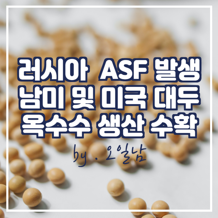 러시아 ASF 발생, 남미 및 미국 대두 옥수수 생산 수확 소식