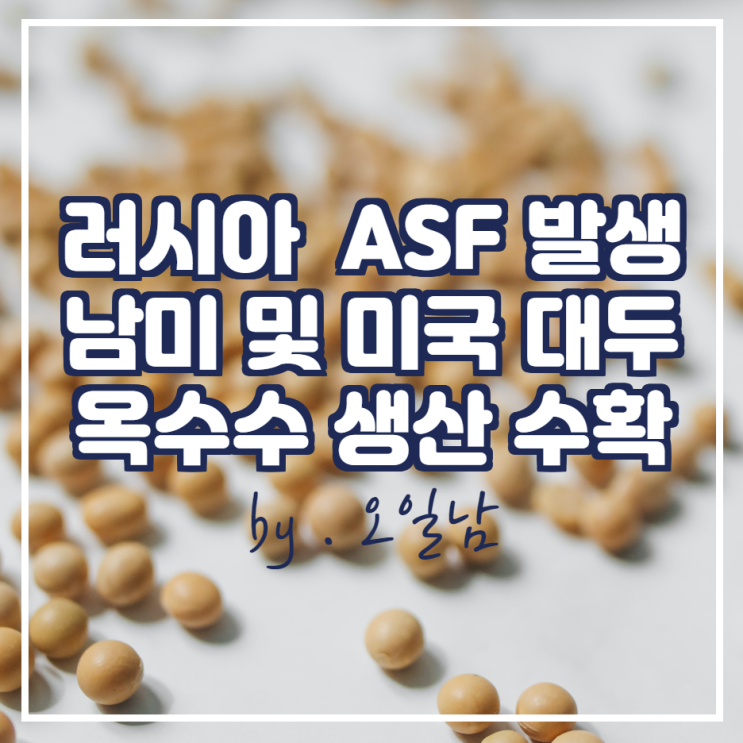  러시아 ASF 발생, 남미 및 미국 대두 옥수수 생산 수확 소식