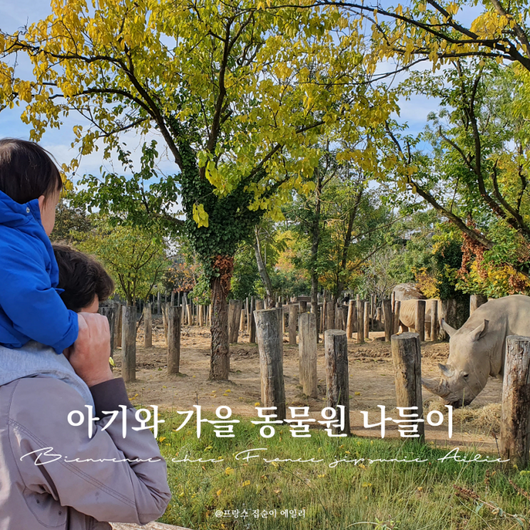  뱅센 동물원으로 14개월 아기랑 가을 주말 파리 근교 나들이, 티타임
