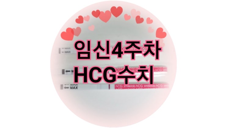  임신극초기증상 4주차  (HCG수치, 피검사O)