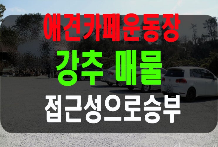 경기도김포 올대지 마당넓은 애견운동장임대 애견카페운동장 하기에 정말좋은 조건의 매물