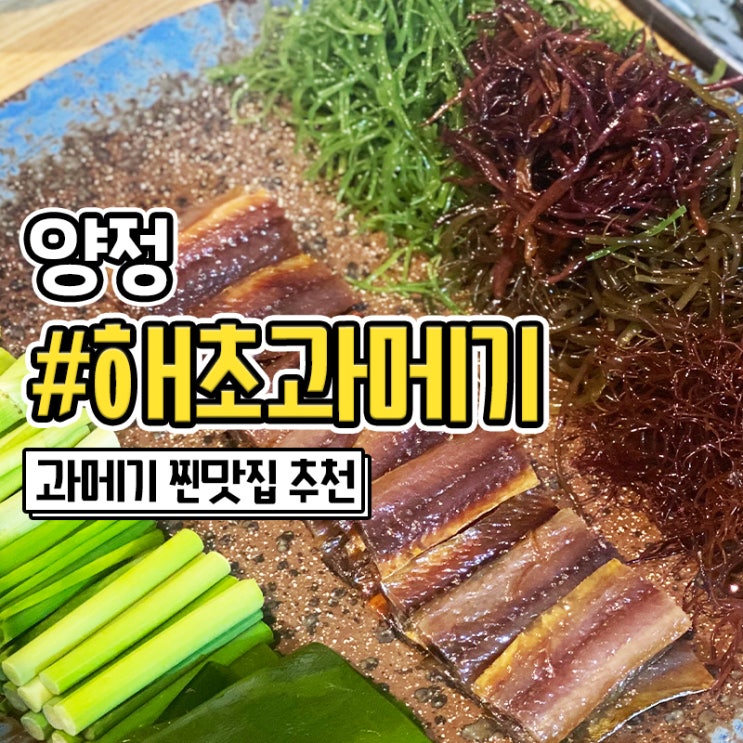  과메기 철엔 부산 양정 술집 맛집 해초과메기