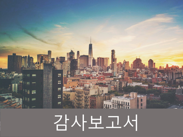  감사인 미선임회사 등에 대한 처리절차