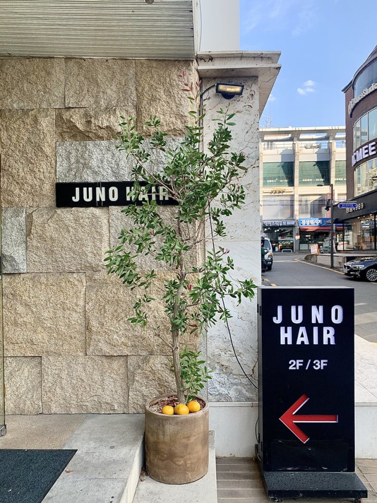  압구정 미용실 준오헤어 압구정로데오 2호점_수진쌤 톤 다운 염색 후기!