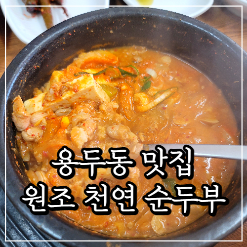 첨단 근처 용두동 맛집, 원조 천연 순두부 (김치 청국장)