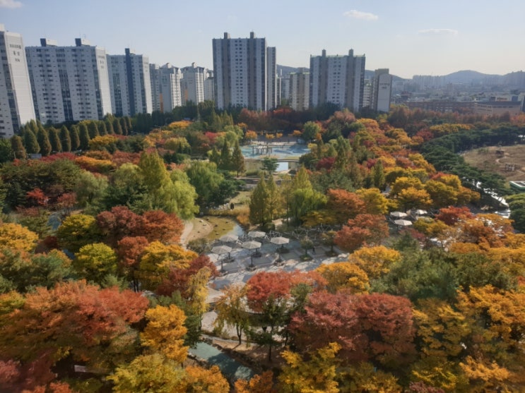  부천중앙공원 10월 가을 풍경 단풍놀이