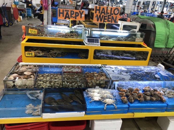  할로윈 맞이 수율 꽉 찬 대게를 맛보다 (feat. 수원 부부수산)