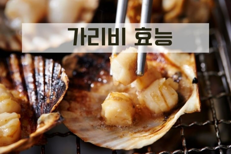  가리비 효능 및 칼로리 (Scallop) 11월 제철 해산물
