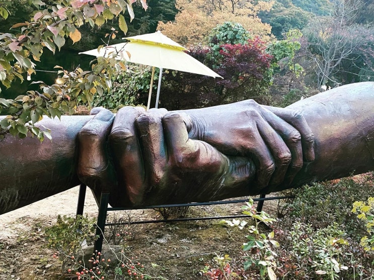 함께 함께