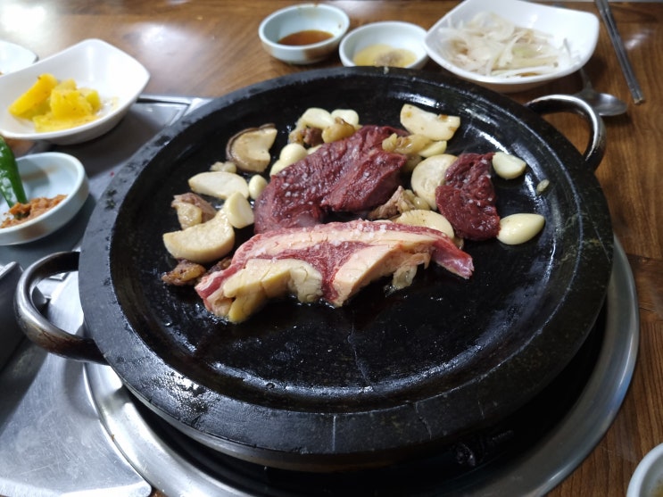  제주말고기 맛집_한라산조랑말