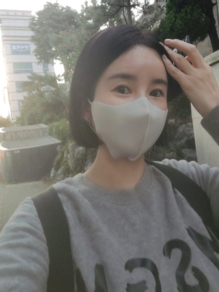 귀 안아픈 파라다이슨 마스크 후기 내돈내산 귀 안아픈 파라다이슨 마스크 후기 내돈내산